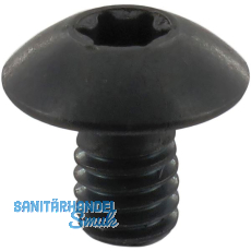 ENT Gro�kopfschraube M 4x5,9 mm zu Wepla Fr�ser