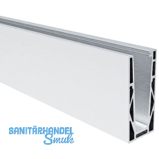 ECONOMY Bodenprofil 0004 ECO zur aufgesetzten Montage, 6000 mm, silber eloxiert ECONOMY Bodenprofil 0004 ECO zur aufgesetzten Montage, 6000 mm, silber eloxiert