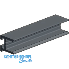 Adapterprofil P-D-XL silber eloxiert