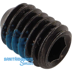 FSB Gewindestift 03 0450, M 6 x 8 mm, Edelstahl schwarz FSB Gewindestift 03 0450, M 6 x 8 mm, Edelstahl schwarz