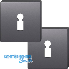 FSB Buntbartrosette quadratisch 12 1704 00002 ASL, Aluminium schwarz matt FSB Buntbartrosette quadratisch 12 1704 00002 ASL, Aluminium schwarz matt