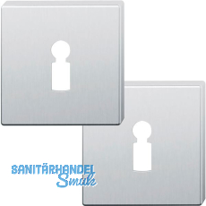 FSB Buntbartrosette quadratisch 12 1704 00002 ASL, Edelstahl matt