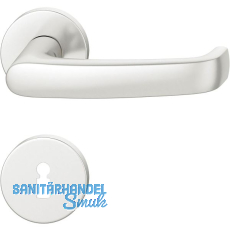 FSB Dr�ckergarnitur 12 1045 ASL auf Rosette BB, Aluminium silber eloxiert