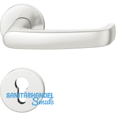 FSB Dr�ckergarnitur 12 1045 ASL auf Rosette PZ, Aluminium silber eloxiert