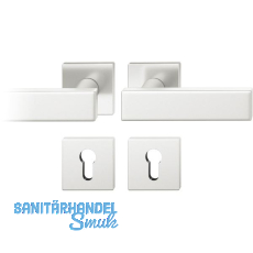 FSB Drückergarnitur 12 1003 ASL auf Rosette eckig PZ, silber eloxiert FSB Drückergarnitur 12 1003 ASL auf Rosette eckig PZ, silber eloxiert