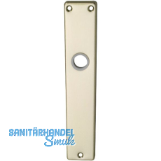 Langschild EUROPA, ungelocht, neusilber eloxiert Langschild EUROPA, ungelocht, neusilber eloxiert