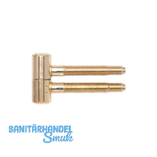 SOLIDO Einbohrband 2-tlg. mit Zylinderkopf, Holz, 16 mm,Stahl glanzvermessingt SOLIDO Einbohrband 2-tlg. mit Zylinderkopf, Holz, 16 mm,Stahl glanzvermessingt