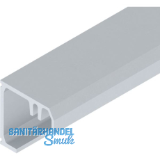 SOLIDO 100/HELM Montageprofil auf Ma� geschnitten L=6000 mm silber eloxiert