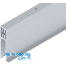 SOLIDO 100/HELM Seitenteilprofil Glas auf Ma� L=6000 mm silber eloxiert