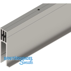 SOLIDO 100/HELM Seitenteilprofil Glas auf Ma� L=6000 mm Edelstahl-Effekt