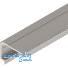 SOLIDO 100/HELM Montageschiene f�r Verblendung auf Ma� Edelstahl-Effekt