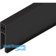 SOLIDO 100/HELM Seitenteilprofil Glas auf Ma� L=6000 mm schwarz matt