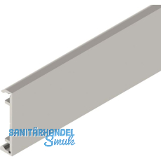 SOLIDO 100/HELM Klipsblende ME minimale Einbauh�he Edelstahl-Effekt L=6000 mm