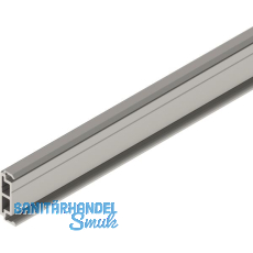 SOLIDO 100/HELM Abstandsprofil 9 mm auf Ma� L=6000 mm Edelstahl-Effekt