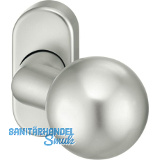 FSB T�rknopf 07 0846 auf Rosette, Aluminium silber eloxiert