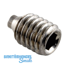 FSB Gewindestift 05 0402 mit Zapfen, M 6 x 9 mm, Edelstahl