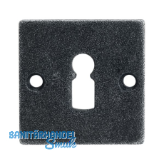 HALCÖ Schlüsselrosette HALL & SÖLL - BB, 52 x 52 mm, verzinkt schwarz passiviert HALCÖ Schlüsselrosette HALL & SÖLL - BB, 52 x 52 mm, verzinkt schwarz passiviert