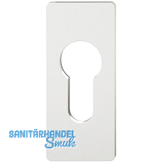 FSB Zylinderrosette 17 1768 eckig zum Aufkleben, 3 mm, Aluminium silber eloxiert FSB Zylinderrosette 17 1768 eckig zum Aufkleben, 3 mm, Aluminium silber eloxiert