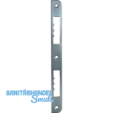 Schlie�blech R10 gerade einseitig abgerundet, 210x20x3 mm, Stahl verzinkt