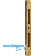 Schlie�blech verstellbar SB/VAR einfr�sbar, 210 x 20 x 10 mm, Messing poliert