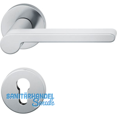 FSB Dr�ckergarnitur 12 1021 ASL auf Rosette PZ, Edelstahl matt