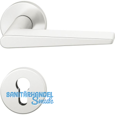 FSB Dr�ckergarnitur 12 1005 ASL auf Rosette PZ, Aluminium silber eloxiert