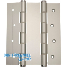 Pendelt�rband doppelt wirkend DAW A180, Rollen � 16mm,H�he 180mm,silber eloxiert