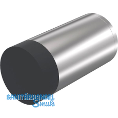 KWS Wandtürpuffer 2073, ø 30 mm, Länge 120 mm, Edelstahl matt KWS Wandtürpuffer 2073, ø 30 mm, Länge 120 mm, Edelstahl matt