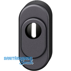 FSB Sicherheitsrosette 73 3249 oval PZ mit Kernziehschutz, Aluminium schwarz FSB Sicherheitsrosette 73 3249 oval PZ mit Kernziehschutz, Aluminium schwarz