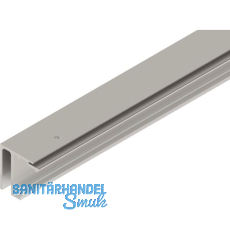 HELM GT-S 150 Laufschiene mit Seitenteil Deckenmontage auf Maß Edelstahl-Effekt HELM GT-S 150 Laufschiene mit Seitenteil Deckenmontage auf Maß Edelstahl-Effekt