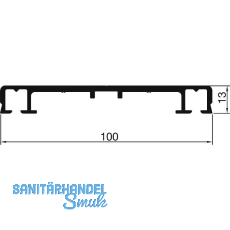 THYSSENKRUPP Syprotech Flachdeckschiene 100/13 ungelocht L=7000 mm Alu blank