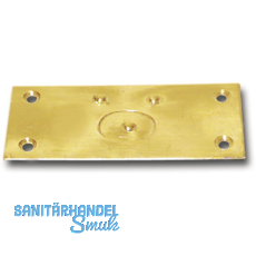 Riegelschließblech mit gefedertem Verschluss, 78 x 34 mm, Messing blank Riegelschließblech mit gefedertem Verschluss, 78 x 34 mm, Messing blank