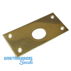 Riegelschlie�blech gerade, mit ovalem Loch, 78 x 34 mm, Messing blank