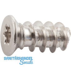 Systemschraube Senkkopf 6,3x15 mm,TX 20, Stahl vernickelt