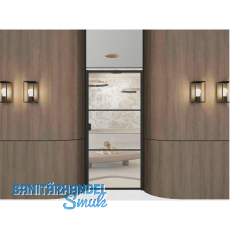 ARLU DIVINA® Drehtür 2100 x 1000 mm, schwarz ARLU DIVINA® Drehtür 2100 x 1000 mm, schwarz