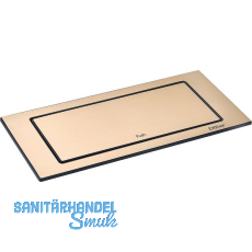 EVOline BackFlip, 2 Stk. Schukosteckdosen, USB-C-Charger, Messing Effekt