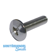 Spezialschraube Oval 6 f�r Schrankrohrlager, M6x20mm vernickelt