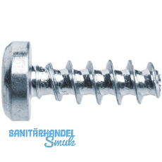 PLASFAST®-Schraube Halbrundkopf 3.5x10 TX10 Stahl verzinkt-blau PLASFAST®-Schraube Halbrundkopf 3.5x10 TX10 Stahl verzinkt-blau