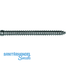 Rahmenanker 7.5x 72 Zylinderkopf ø7.5 Torx30 verzinkt Rahmenanker 7.5x 72 Zylinderkopf ø7.5 Torx30 verzinkt
