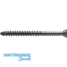 REISSER Terrassenbohrschraube RT5 5,5x 60 - Edelstahl A2 / inkl. Bit REISSER Terrassenbohrschraube RT5 5,5x 60 - Edelstahl A2 / inkl. Bit