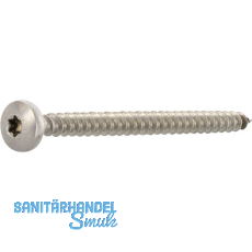 Spanplattenschraube Halbrundkopf 5.0x 50 Vollgewinde Torx 25 Edelstahl A2