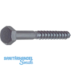 DIN571 10x200 verzinkt Gestellschraube (Schl�sselschraube)