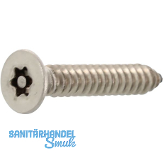 Sicherheitsschraube SNK 4.2x19 Blechschraube mit TX20 und PIN - Edelstahl A2