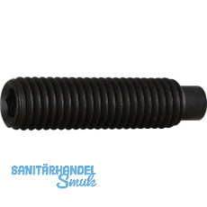 ISO4028 45H M 5x 25 blank Gewindestift mit Zapfen und Innensechskant (DIN915)