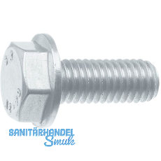 Sechskant-Flanschschraube KL100 M 6 x 10 zinklamellenbeschichtet / Ripp-Schraube Sechskant-Flanschschraube KL100 M 6 x 10 zinklamellenbeschichtet / Ripp-Schraube