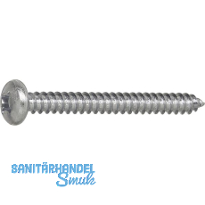 DIN7981C 4.2x 19 PH-Kreuzschlitz verzinkt Linsen-Blechschraube ~ISO7049