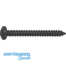 DIN7981C 4.8x 25 PH-Kreuzschlitz verzinkt schwarz Linsen-Blechschraube ~ISO7049