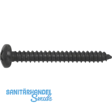 DIN7981C 3.9x 16 PH-Kreuzschlitz verzinkt schwarz Linsen-Blechschraube ~ISO7049 DIN7981C 3.9x 16 PH-Kreuzschlitz verzinkt schwarz Linsen-Blechschraube ~ISO7049