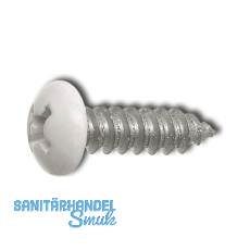 DIN7981C 5.5x 16 PH-Kreuzschlitz Kopf RAL7037 staubgrau beschichtet ~ISO7049 DIN7981C 5.5x 16 PH-Kreuzschlitz Kopf RAL7037 staubgrau beschichtet ~ISO7049