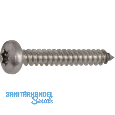 DIN7981C 3.9x 16 Torx20 verzinkt Linsen-Blechschraube ~ISO14585